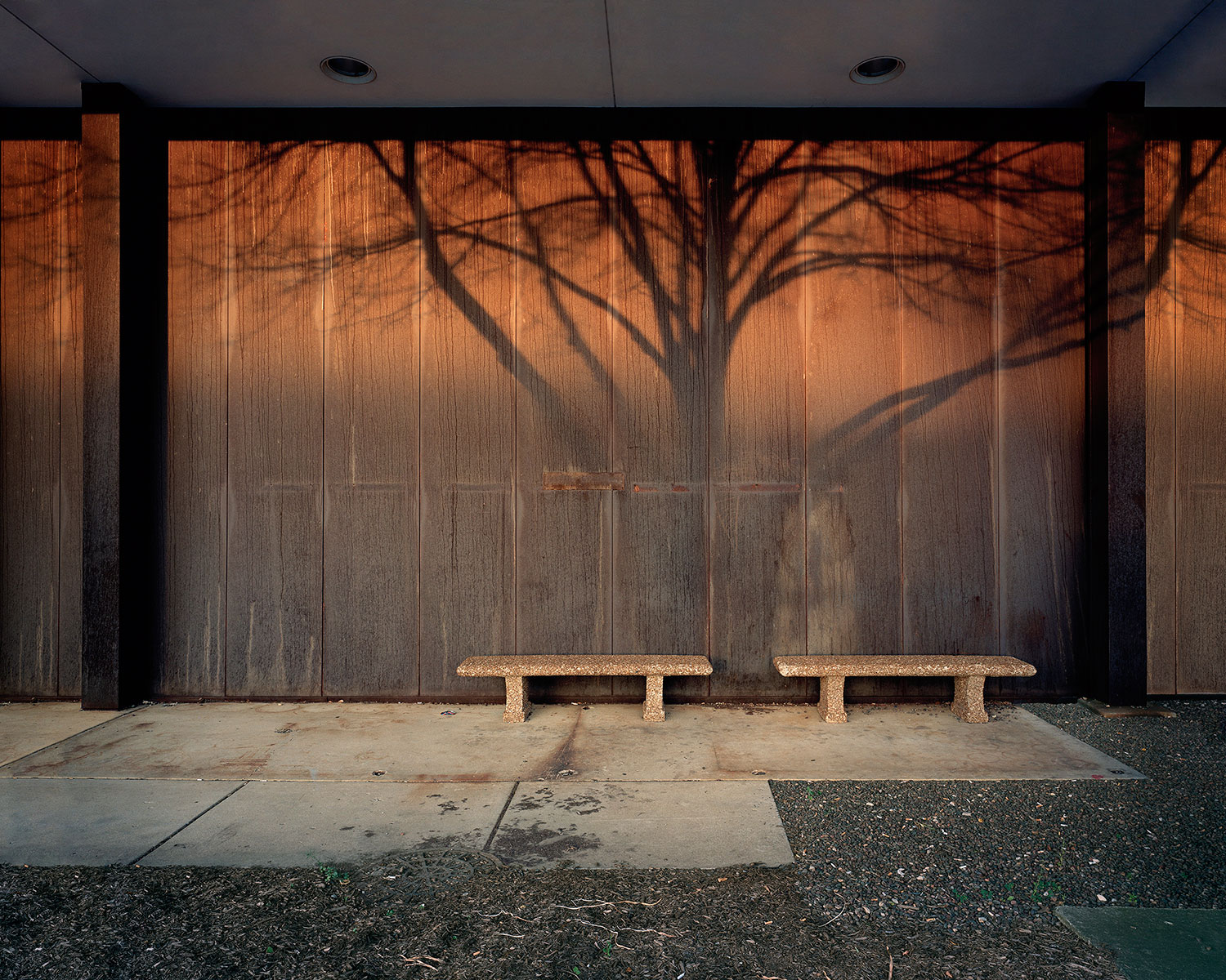 Nate Mathews, Sunset, Tree Shadow, and Benches, 2009. Inkjet print, 24 x 30 in.