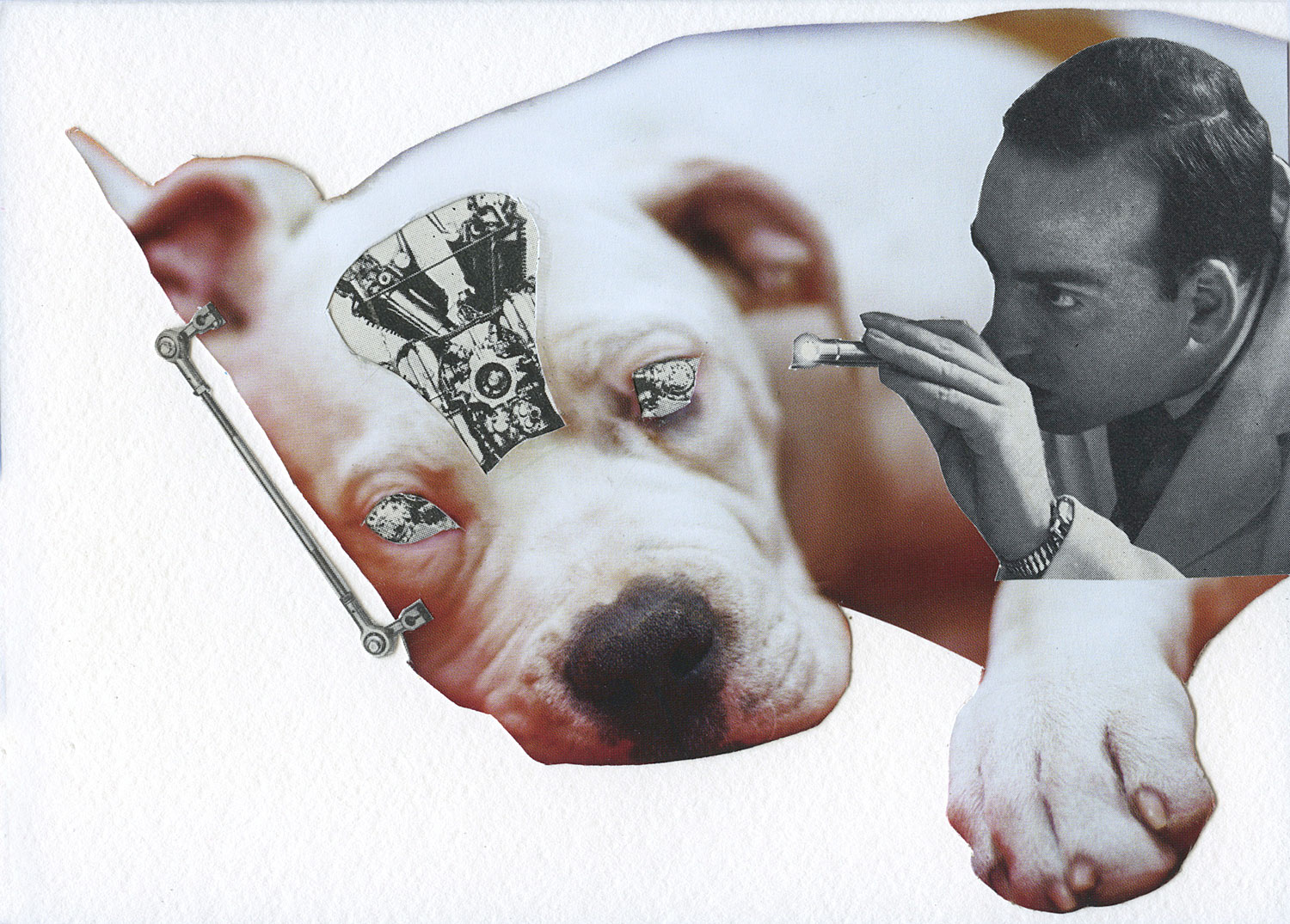Maria Lux, Cyborg Dog, 2013. Collage, 4 x 6 in.