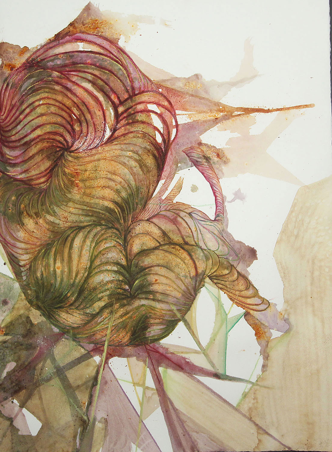 Rachel Joob, OrganicBody, 2013. Coffee, wine, baking soda, drink mix, salt, chalk pastel and watercolor pencils on watercolor paper, 21.5 x 28.5 in.