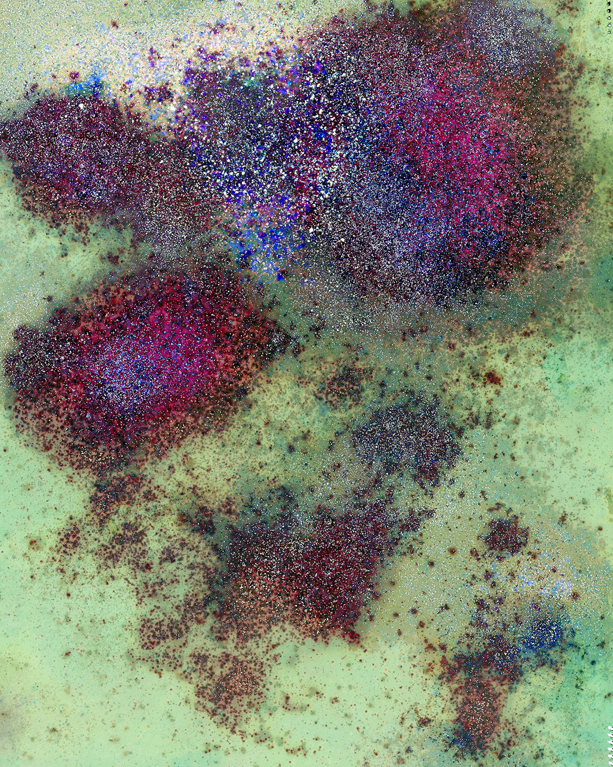 Colleen Fitzgerald, Restore Neurotransmitters, 2012. Digital C-Print, 30 x 38 in.