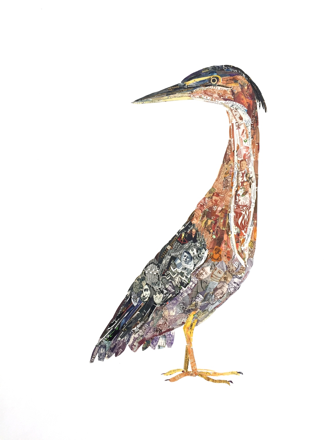 Kerry Buchman, Green Heron, 2015. Postage stamps on paper, 23.5 x 18 in.