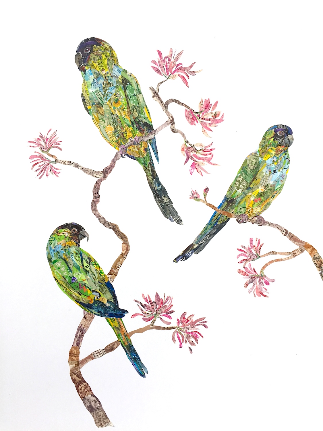 Kerry Buchman, Nandays Parakeets, 2015. Postage stamps on paper, 23.5 x 18 in.