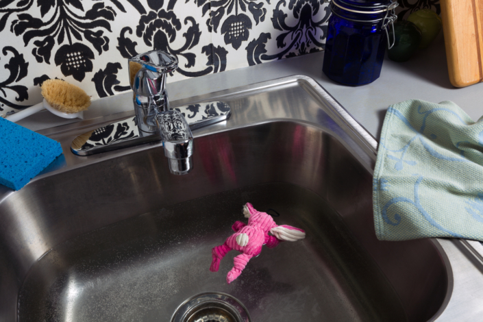 Jeanette May, Bunny, 2013, Archival Pigment Print, 24 x 36 in.