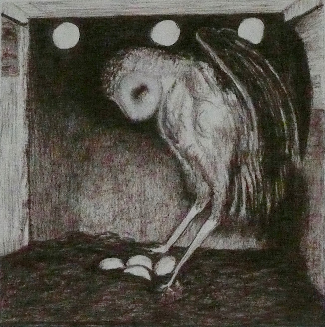 Ellen Holloran, Barn Owl with Eggs, 2013, Conté crayon on paper, 9 x 9 in.