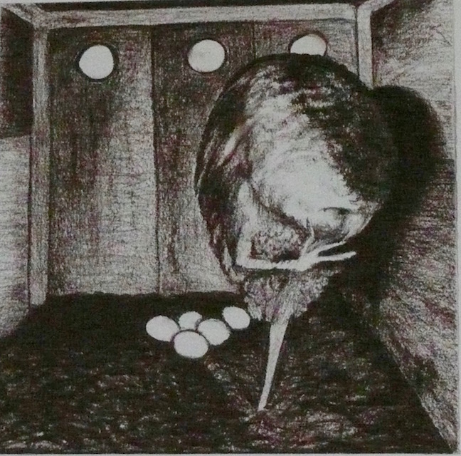 Ellen Holloran, Barn Owl with Eggs, 2013, Conté crayon on paper, 9 x 9 in.