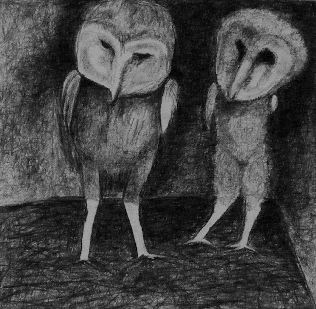 Ellen Holloran, Barn Owls at Home, 2012, Conté crayon on paper, 9 x 9 in.