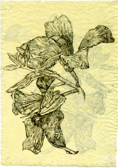 Rachel Singel, Lilies, 2015. Intaglio on handmade cotton paper, 12 x 18 in.
