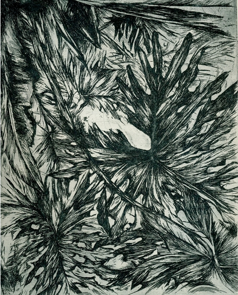 Rachel Singel, Spanish Garden, 2015. Intaglio on handmade cotton paper, 8 x 10 in.