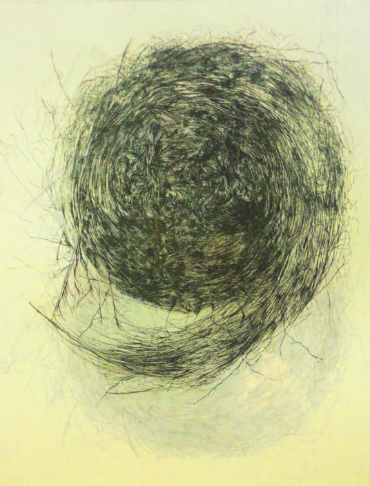 Rachel Singel, Nest, 2015. Intaglio on handmade cotton paper, 8 x 10 in.