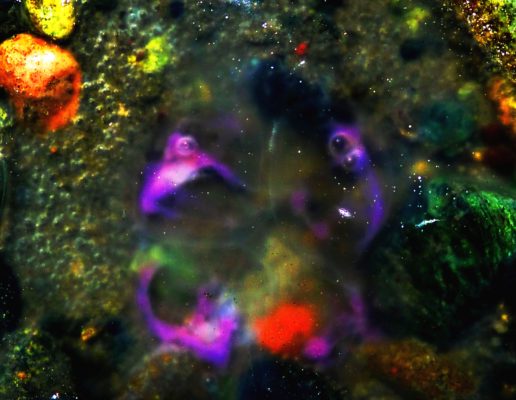 Jayne Marick, Purple Jellyfish Cosmos, 2016, Medium, Size