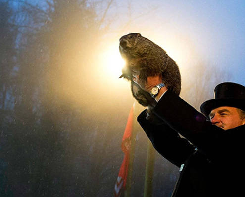 Groundhog animal held by a man