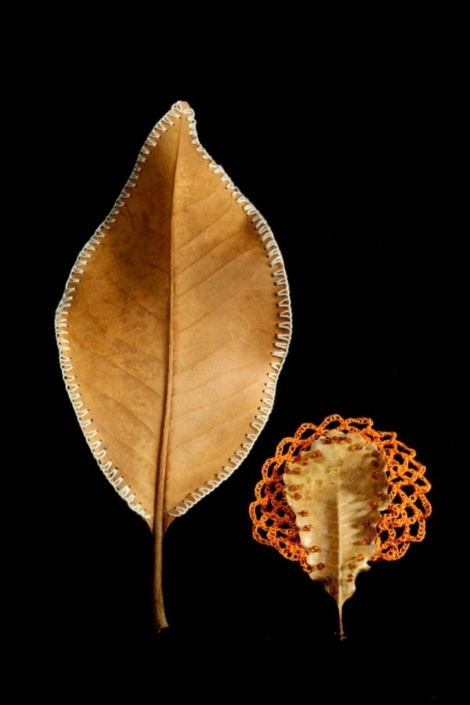 Yael Sapir, relationship, 2018, found leaves and natural threads
