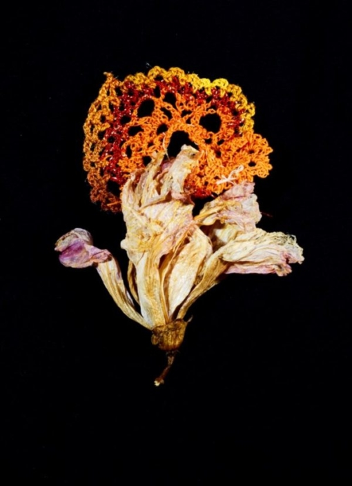 Yael Sapir, flame flower 01, 2018, found bloom, yarn, and colored thread