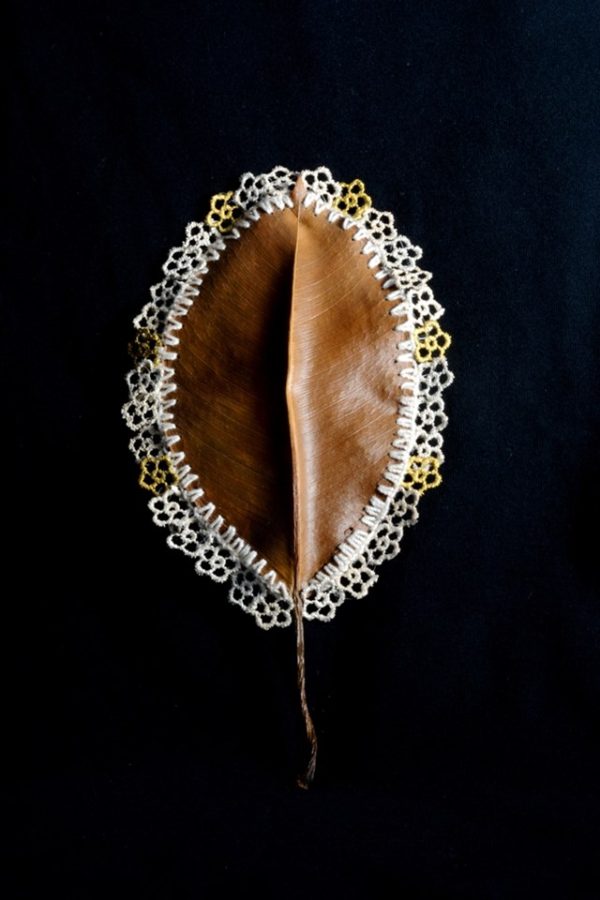 Yael Sapir, lace on a leaf, 2018, found leaf and cotton threads