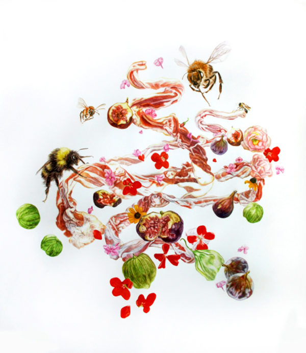 Monika Malweski, Bacon Wreath with Bees and Figs , 2014-2018, Watercolors on Paper, 30” x 42”