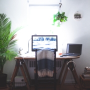 Computer at sawhorse desk, backlit, plant