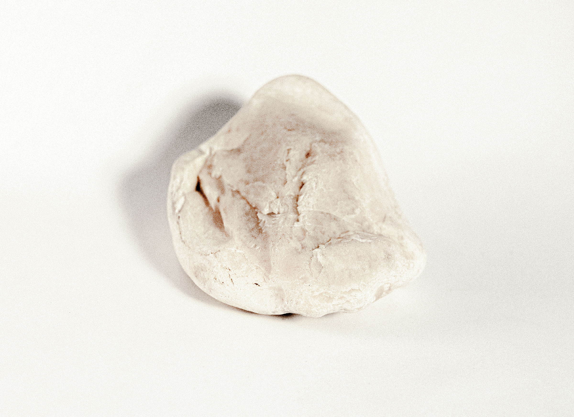 A still like of an ivory rock called Tongue