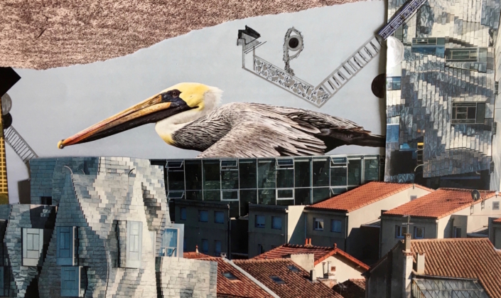 Pelican overlooking houses and buildings