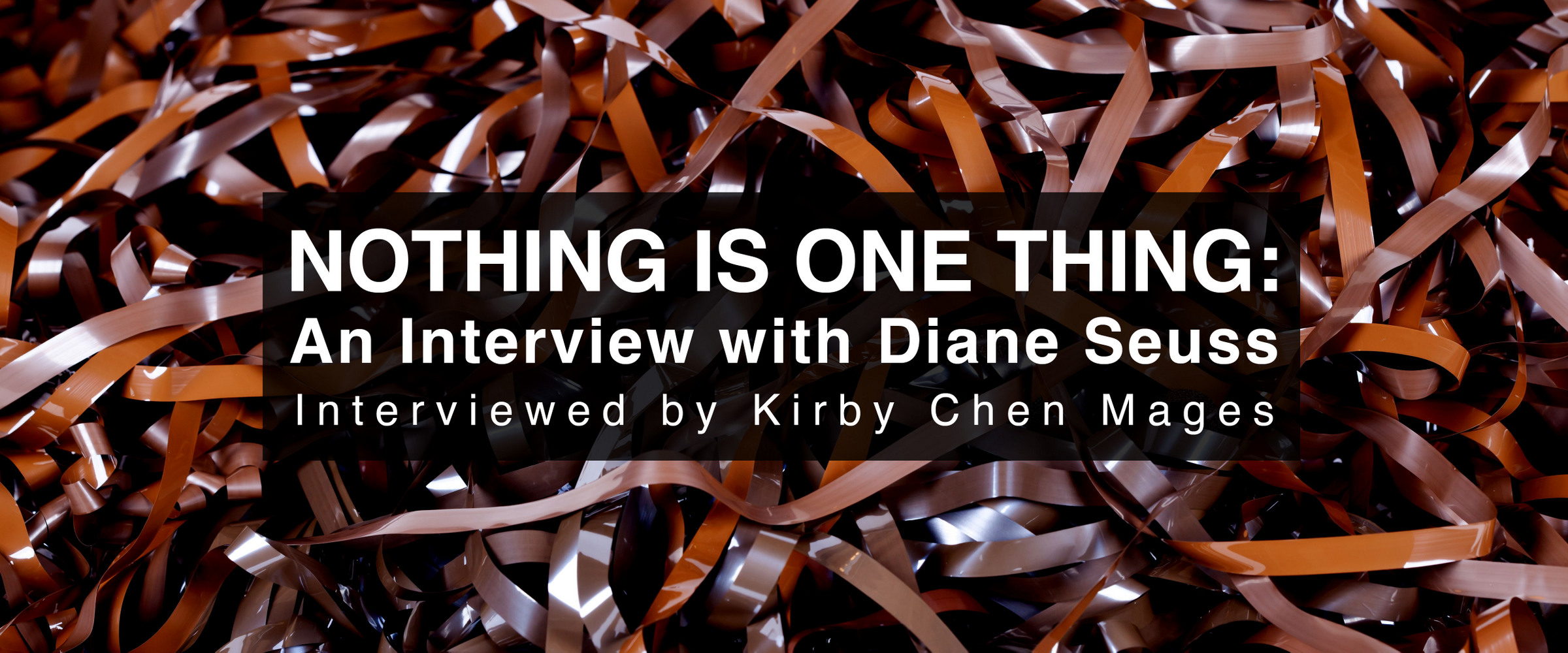 Text: Nothing is one thing: an Interview with Diane Seuss interviewed by Kirby Chen