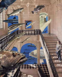 Many fish floating past the stairs of a building while a person watches