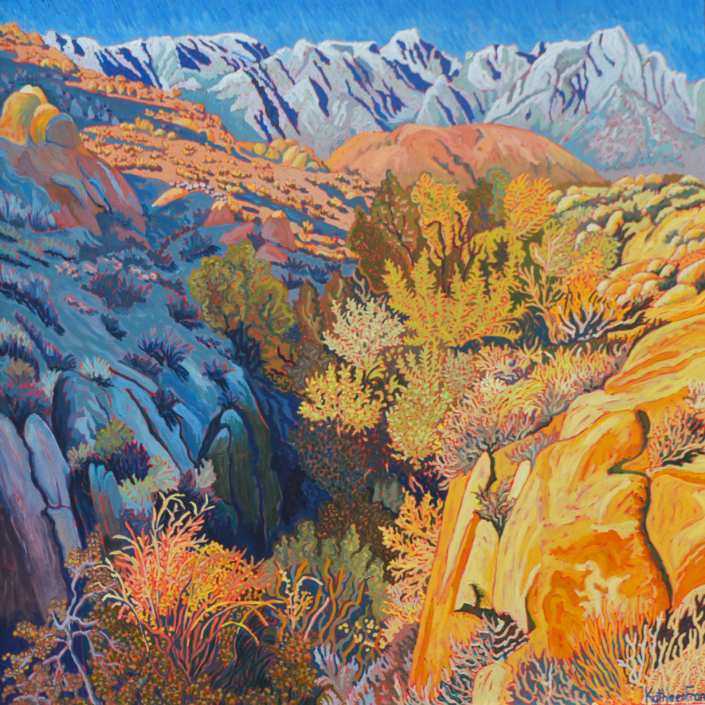 Snow capped mountains and blue sky behind foliage and chasm foreground