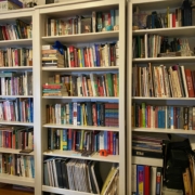 Robert Kirwin library, shelves of books