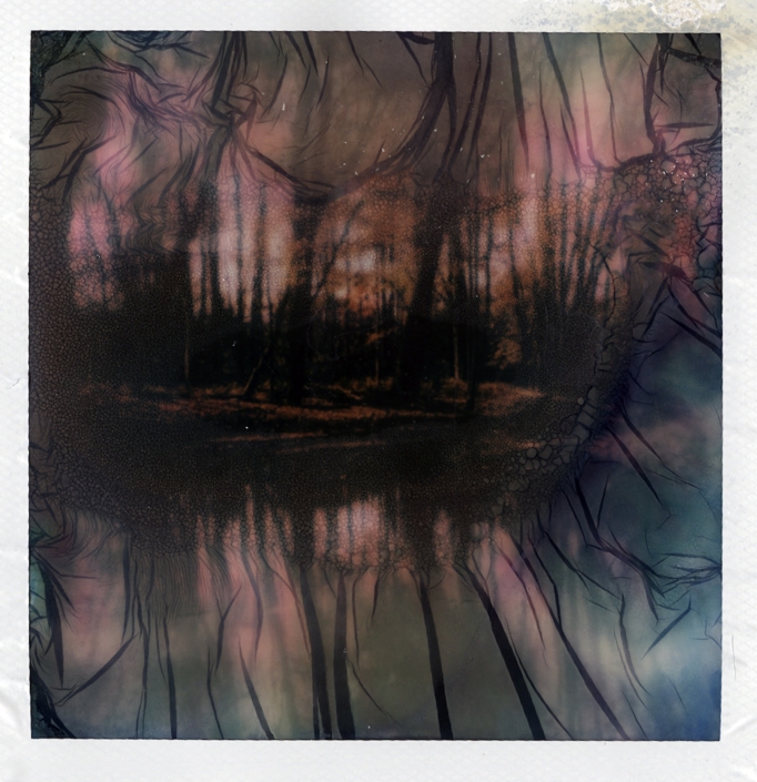 Forest and water in a draped wash of blue and magenta