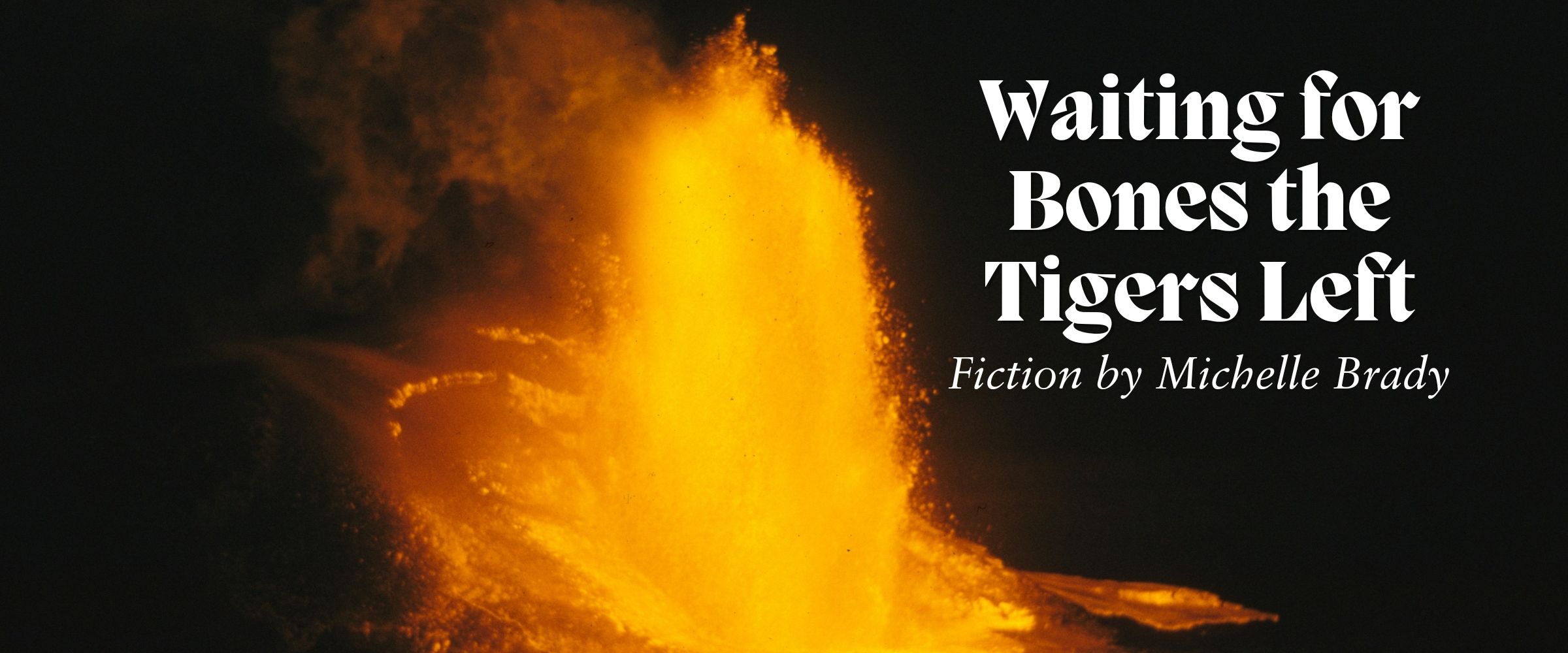 Waiting for the bones the tigers left fiction by Michelle Brady