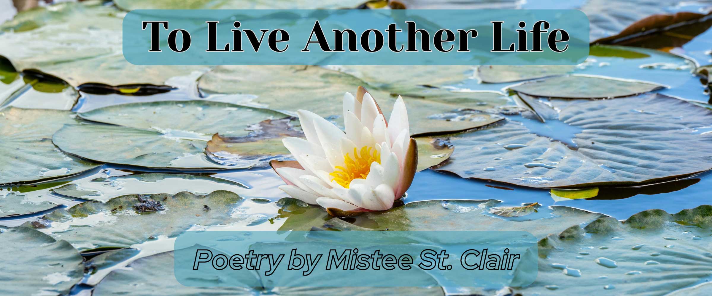 to-live-another-life poetry by mistee st clair