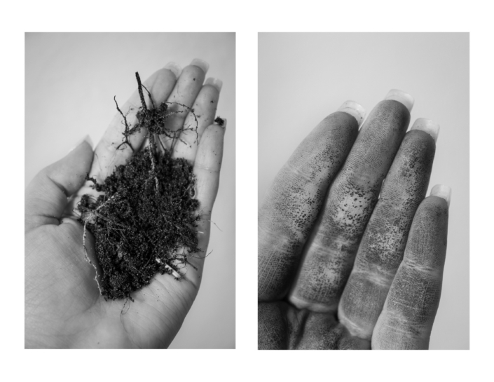 Rootless